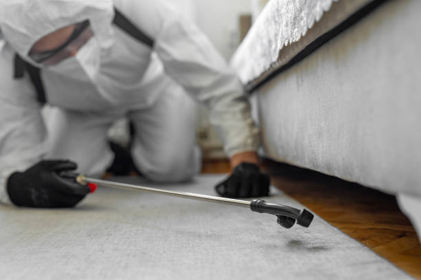 Professional Termite Control technician working in St. George, MO