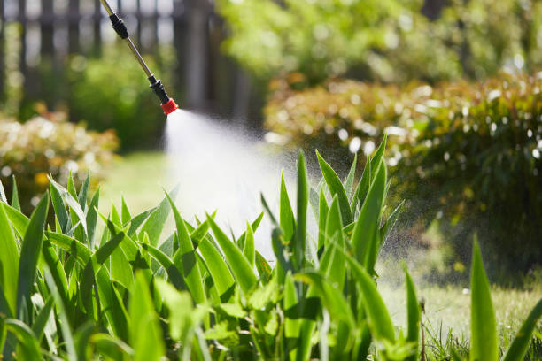 24/7 Emergency Termite Control experts in St. George, MO